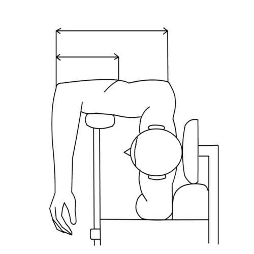 Radial nerve's projection scheme